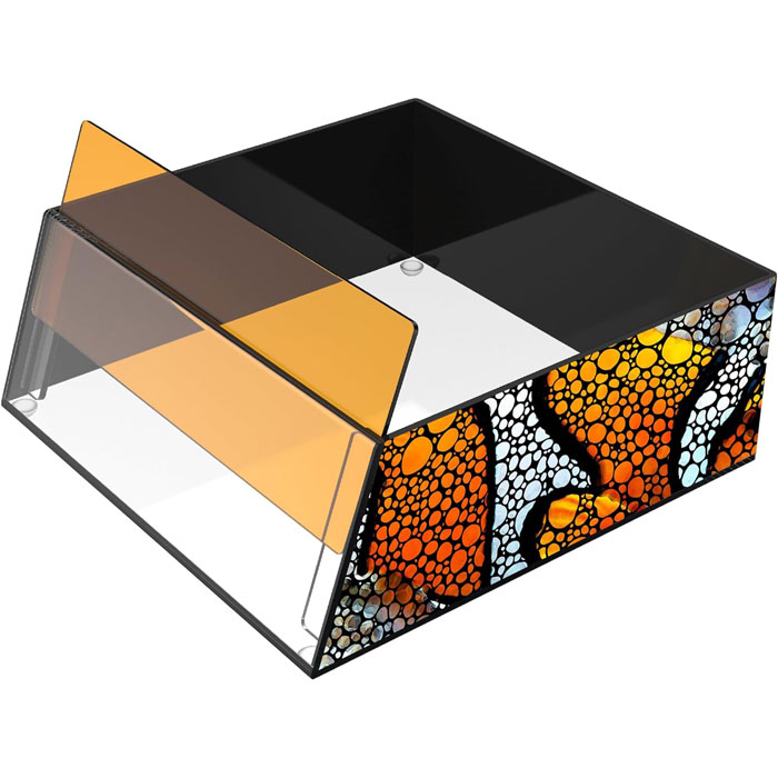 Flipper Top Down Viewer Clownfish