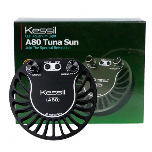 Kessil A80 Tuna Sun