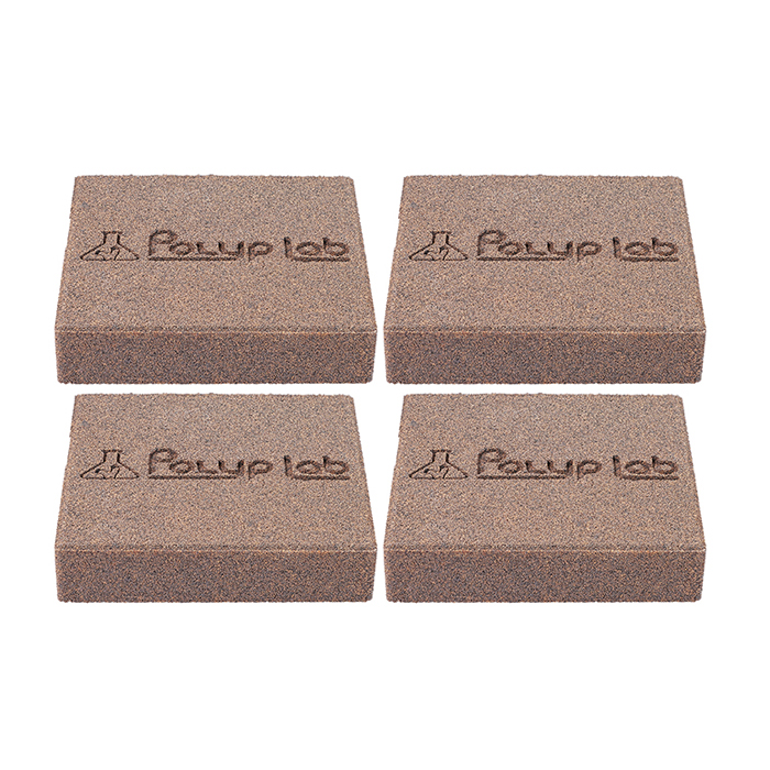 Polyp Lab Genesis Rock [4 pk]