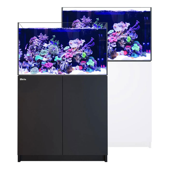 Red Sea Reefer 300 G3 [65 gal - Black]